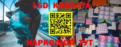 2c-b Кингисепп