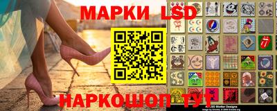 2c-b Кингисепп