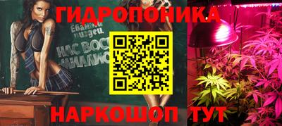 2c-b Кингисепп