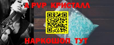 2c-b Кингисепп