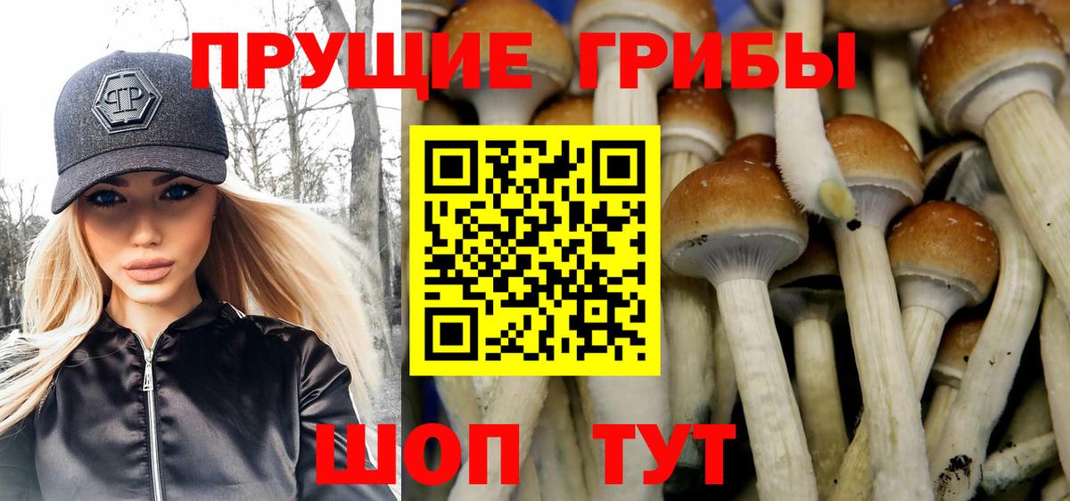 Кохма  Псилоцибиновые грибы мицелий  Псилоцибиновые грибы мухоморы  купить  сайты  Вход с VPN 